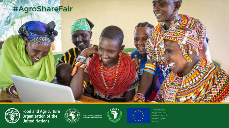 FAOWestAfrica's tweet photo. Dans le cadre des efforts de partage des connaissances agricoles entre l'Afrique de l'Est et de l'Ouest, @FAO, @IGADSecretariat et #CILLS ont organisé le Salon du partage des connaissances de la Corne de l'Afrique et du #Sahel.
A découvrir en ligne 👉 https://t.co/IonoK14ekL https://t.co/SKCXDPDye3