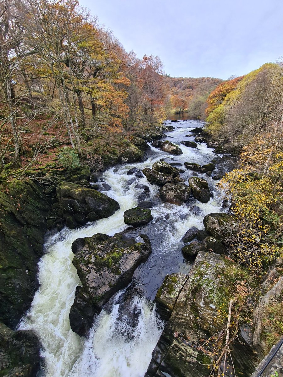 dean_read's tweet photo. Back at work after another amazing trail running weekend in Snowdonia with @GeoffBrierley and the #FocusedPerformance crew. We had great views of Snowdon and Moel Siabod yesterday, the autumn colours were breathtaking 🍁🍂 https://t.co/rGcTkv1ObG