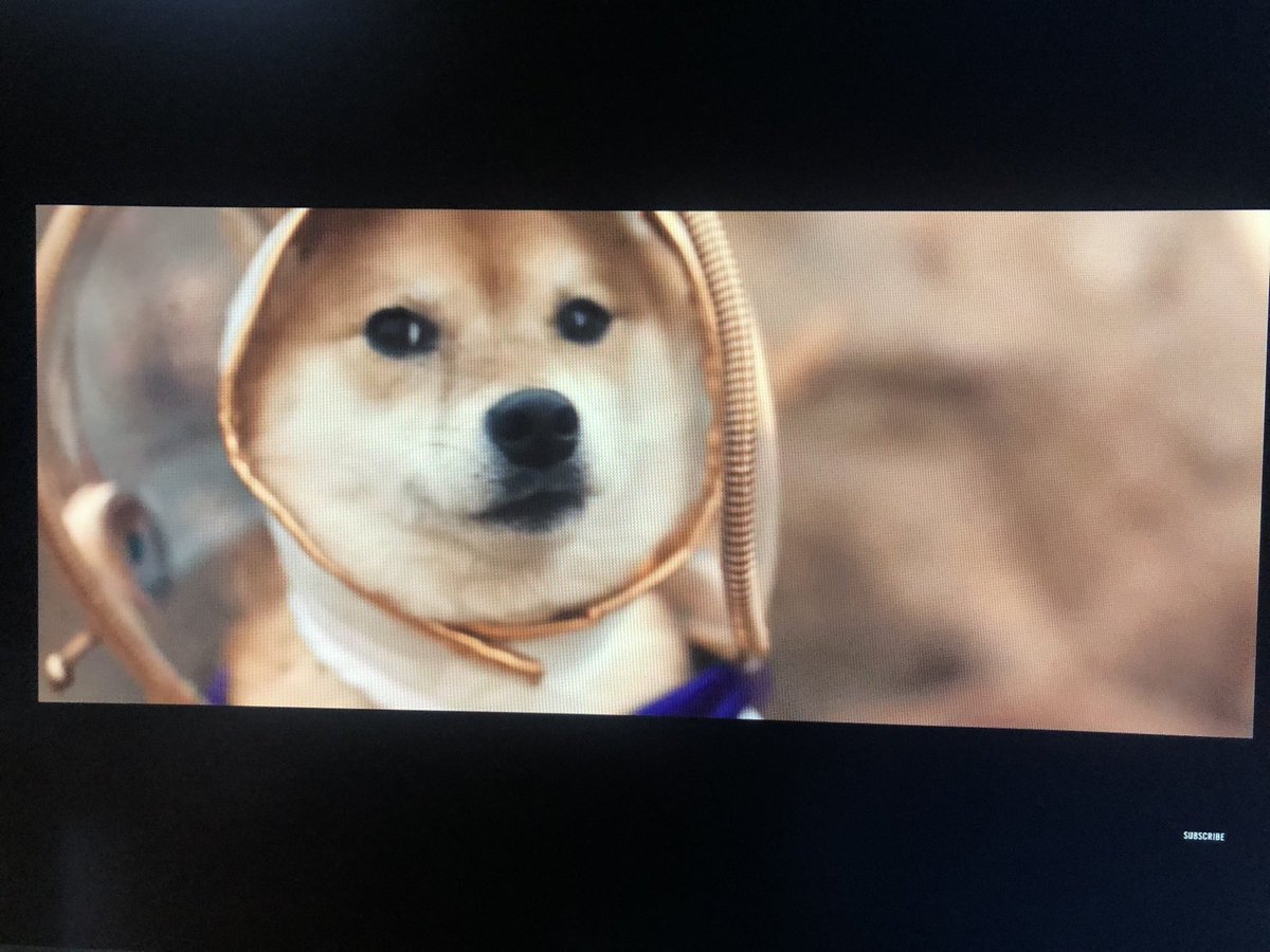 Kuba99999999's tweet photo. @SnoopDogg has a #shibainu in his music video #shiba #SHIBARMY 😎 https://t.co/qAZSAnJhoe