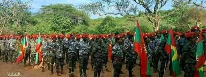 gorofugug's tweet photo. Eeba jajjabee zoonii kibbaa guyyaa har'aa haala nama gammachiisuufi nama hawwisiisuun xumurame bobbaaf qophii jira https://t.co/6fjSNn38kU