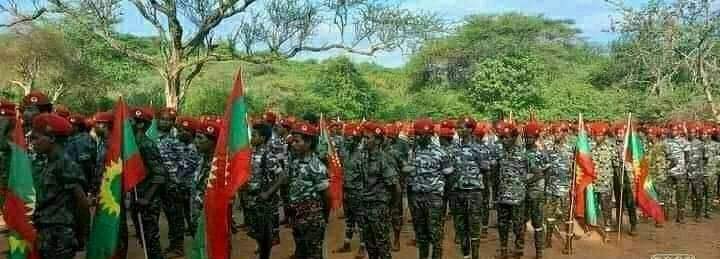 gorofugug's tweet photo. Eeba jajjabee zoonii kibbaa guyyaa har'aa haala nama gammachiisuufi nama hawwisiisuun xumurame bobbaaf qophii jira https://t.co/6fjSNn38kU