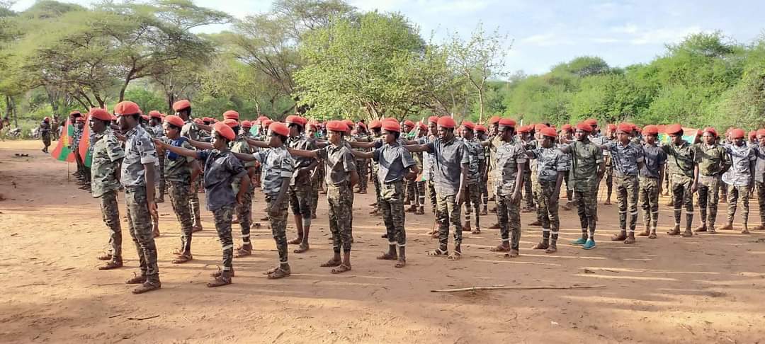 gorofugug's tweet photo. Eeba jajjabee zoonii kibbaa guyyaa har'aa haala nama gammachiisuufi nama hawwisiisuun xumurame bobbaaf qophii jira https://t.co/6fjSNn38kU