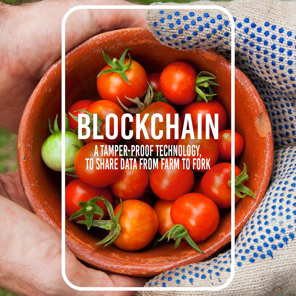 ConnectingFood_'s tweet photo. Our goal at #ConnectingFood is to reconnect consumers and farmers. Thanks to our webapp, it is possible! On there, you can find their testimonials and commitments. 🥕

Let's join forces for more #transparency! 💪 

More about our mission: https://t.co/qKfMEEknU3
#MondayMotivation https://t.co/m2jM5iYWCc