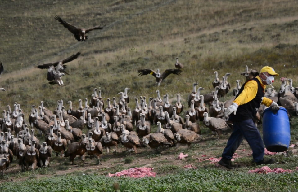 #Sabiesque... a l'Alt Pirineu i Aran tenim més de 50 museus i equipaments que mostren la diversitat cultural i patrimonial del nostre territori. <a href="/PirineuMuseus/">Xarxa Museus Pirineu</a> agrupa espais visitables, on podeu descobrir la història, enginyeria, ciències naturals o etnologia #AltPirineuiAran
