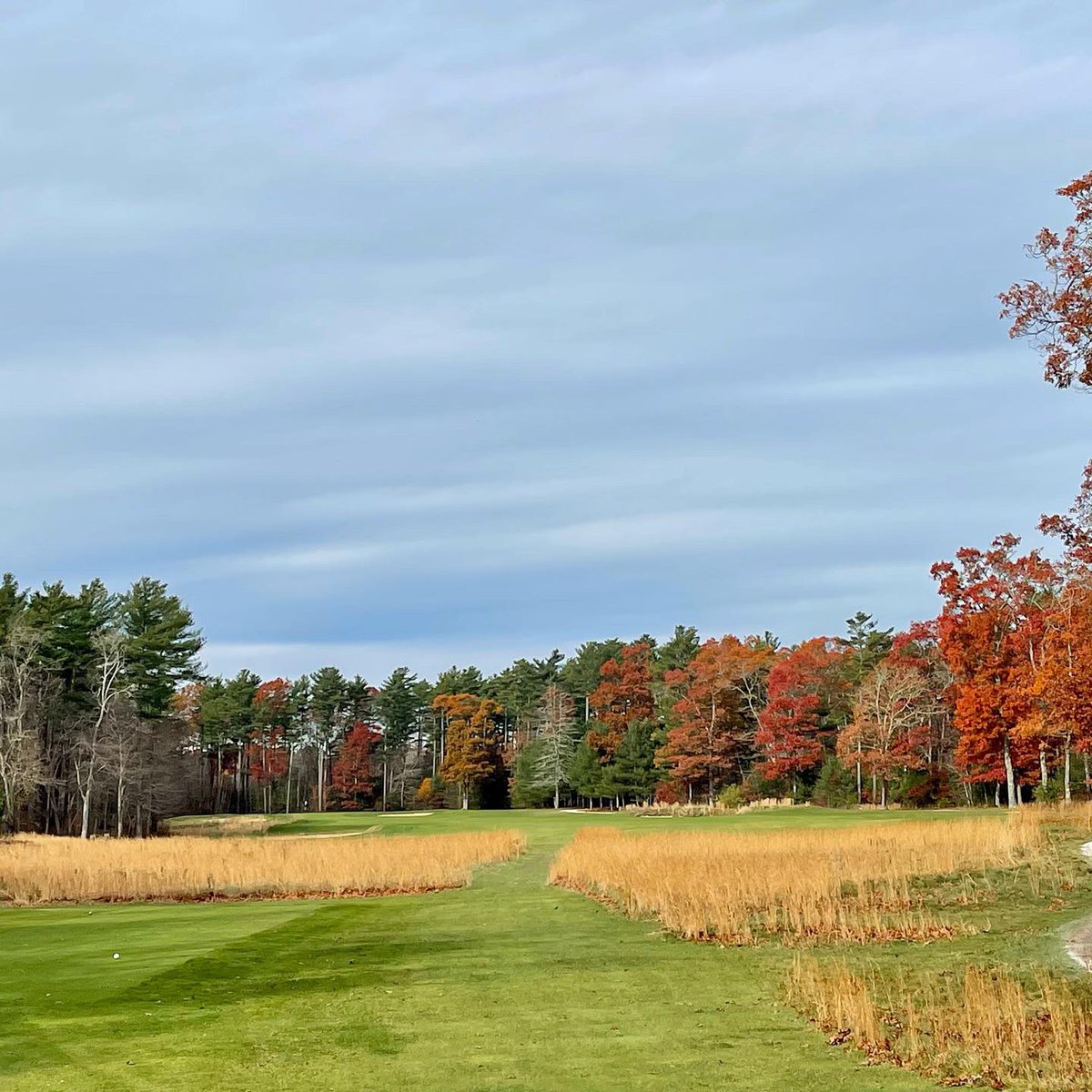 michaellowe's tweet photo. Quick 6-hole loop yesterday at The Bay Club. Great fall #golf. 🍁 ⛳️ 🍁 https://t.co/TA1AI0FkT3
