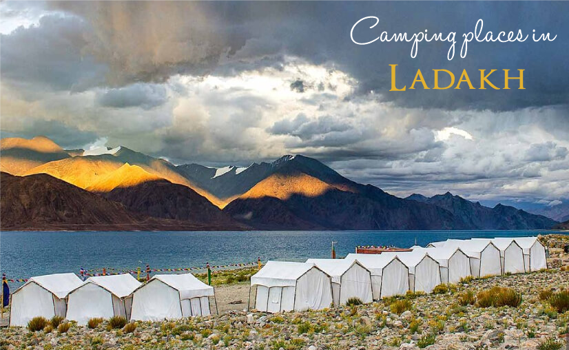 backpackclan's tweet photo. Camping places in Ladakh- Backpackclan
#ladakh #camping #campingplacesinladakh #backpackclan #trips https://t.co/madpYwbXLb
