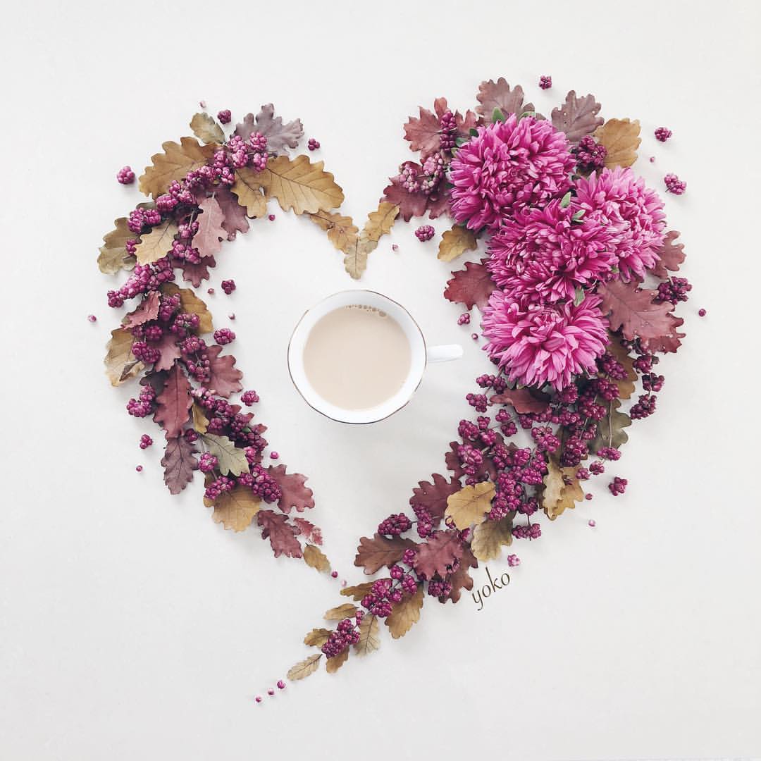 esthetics | archive tweet media