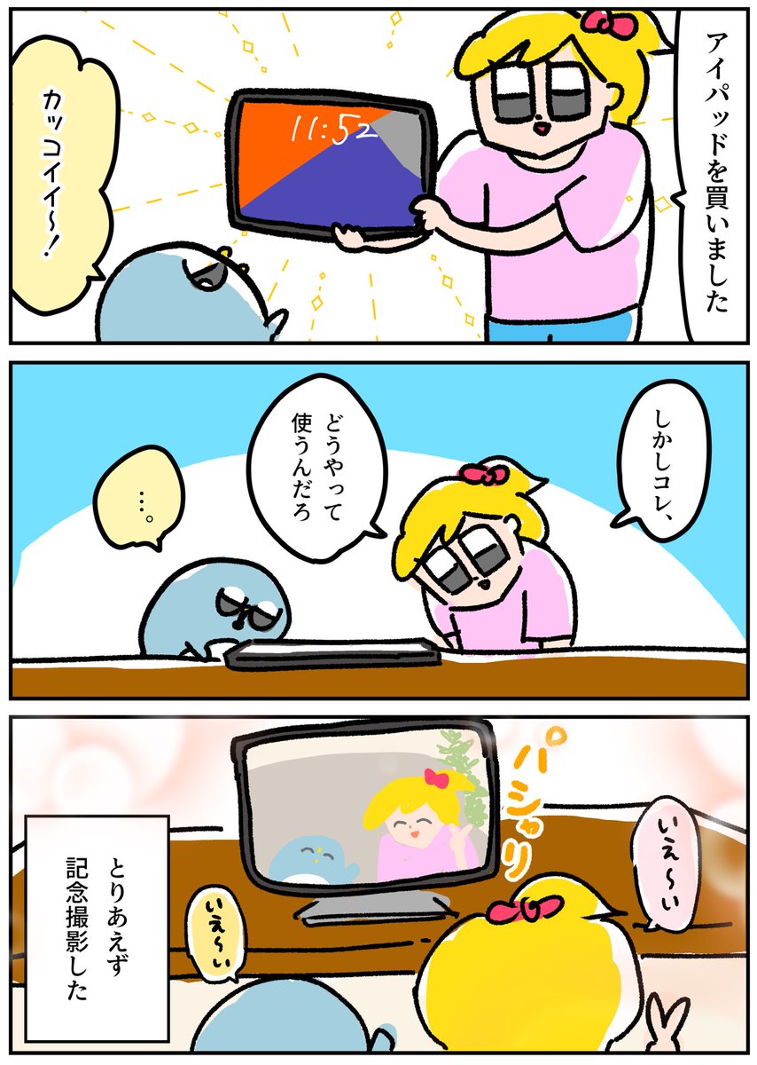 iPadが届いた日、操作わからなくてコレしかできなかった 