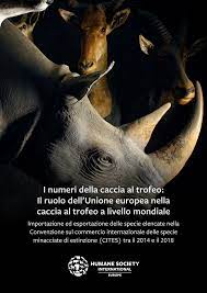 CatiaSaluzzo's tweet photo. TROFEI DI CACCIA
L'Unione Europea è il secondo importatore di trofei di caccia al mondo, dopo gli Stati Uniti.
https://t.co/bNnA0MfDmz
https://t.co/zZwGmN7uPc https://t.co/5Ho9hvFgvS