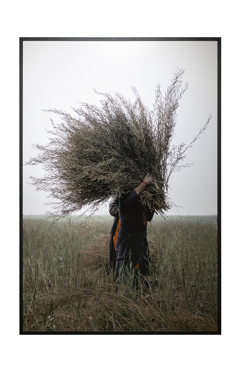 Peter Nash tweet media