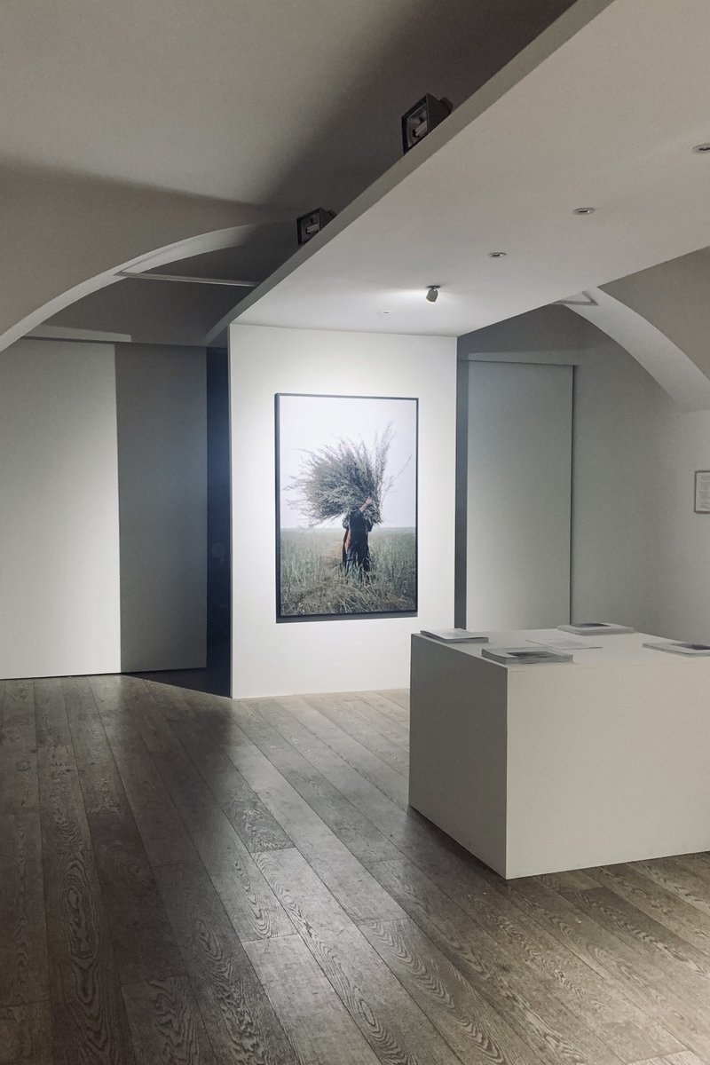 Peter Nash tweet media