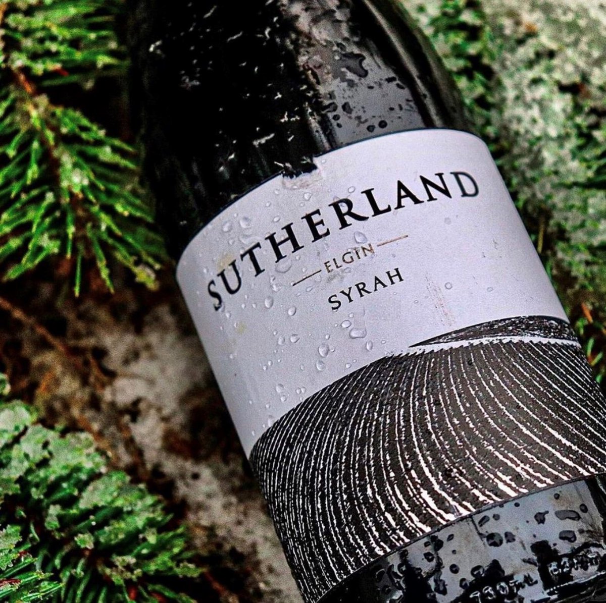 SutherlandWines's tweet photo. Sutherland Syrah 2018 has been released. Just in time for you to get a few bottles to enjoy with your Christmas roast.

#sutherlandwines #sipsutherland #syrah #redwine #winelovers #coolclimatewine #Elgin #ExperienceElgin #wineforchristmas #WOSA #southafrica https://t.co/syJiHg0Vuu