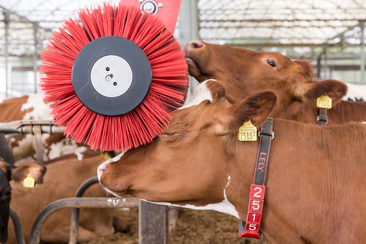 LelyMidlands's tweet photo. The Lely Lottery!

Fancy your chance at winning a Lely Luna cow brush? 🐄
To enter the competition, please fill in your details on our website: https://t.co/k4M1m4bDdD

#BrightFarming #TeamDairy #Competition https://t.co/THOfOZuOzl