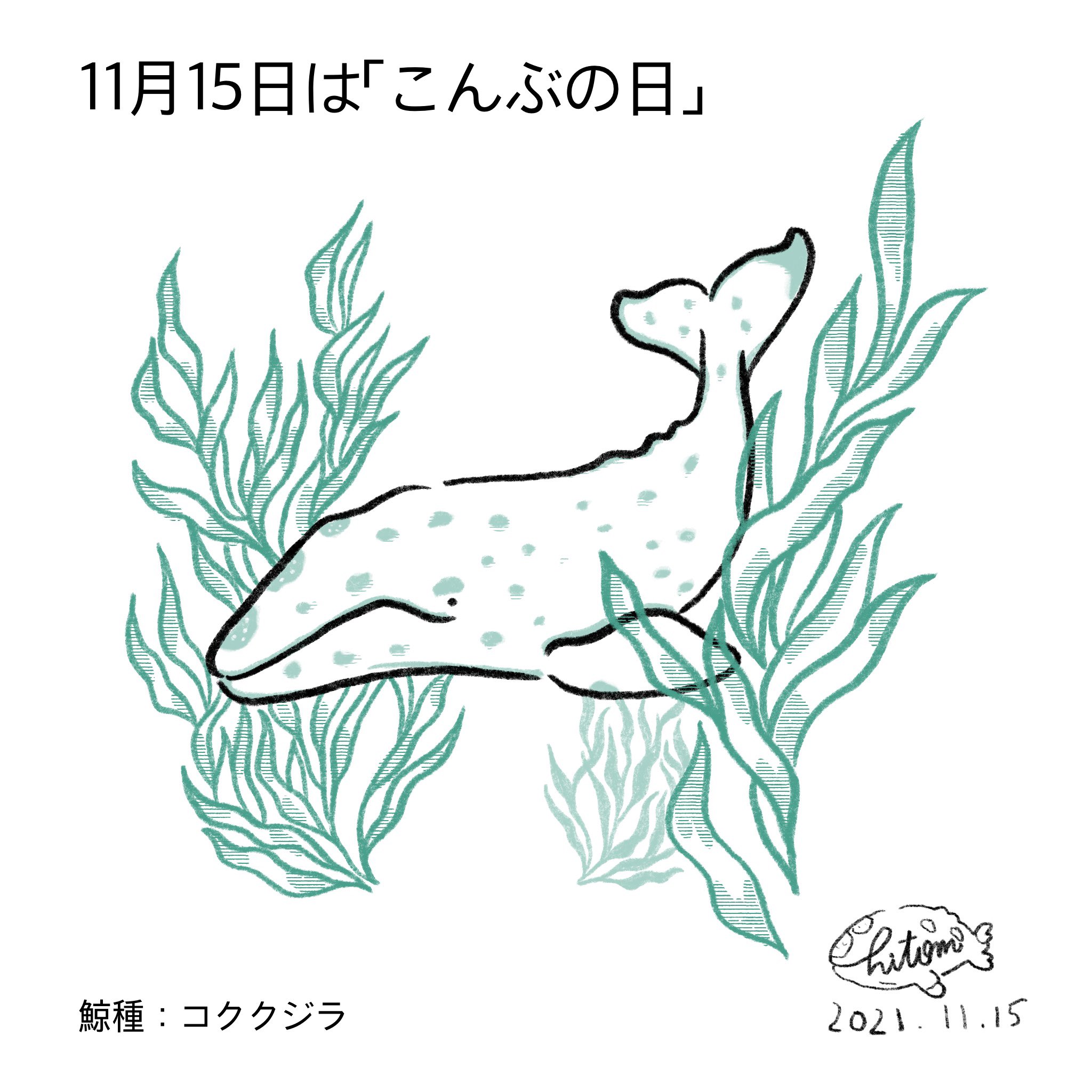 あらたひとむ 11月15日はこんぶの日 こんぶは英語でゲルプ コククジラが回遊するカリフォルニア沖にはジャイアントゲルプと言う巨大な海藻が繁茂していてシャチに出会ったコククジラが茂みの中に入り 身を隠す行動を取ることが確認されています