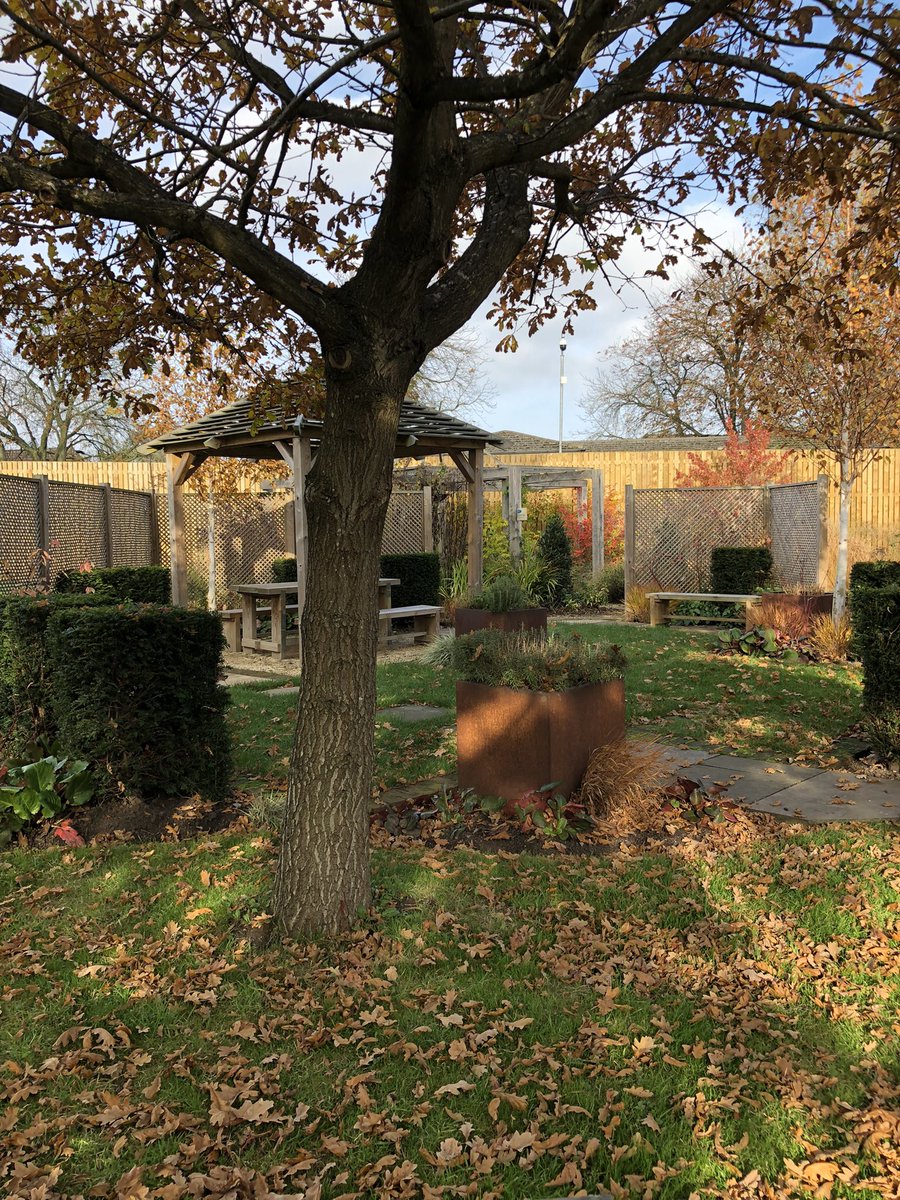 kj19642's tweet photo. Lovely 10 minute walk around the secret garden @secretgardenuhl @Leic_hospital to start the working week. Looks like Autumn has finally arrived!! #FabActivity1 #FabChange21 https://t.co/rJVv7GZuQF