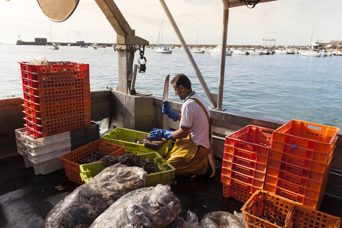 tourisme_gtm's tweet photo. Dimanche ce sera la Journée Mondiale des #pecheurs #artisans et des travailleurs de la #mer. Pêcheurs, soudeurs, commerciaux, manutentionnaires... Le #port de Granville a besoin d'eux pour faire tourner tout cet #ecosystème !
Portraits ▶https://t.co/sZzrFFHAuG
📸Thomas Jouanneau https://t.co/GEIBzW1CtC