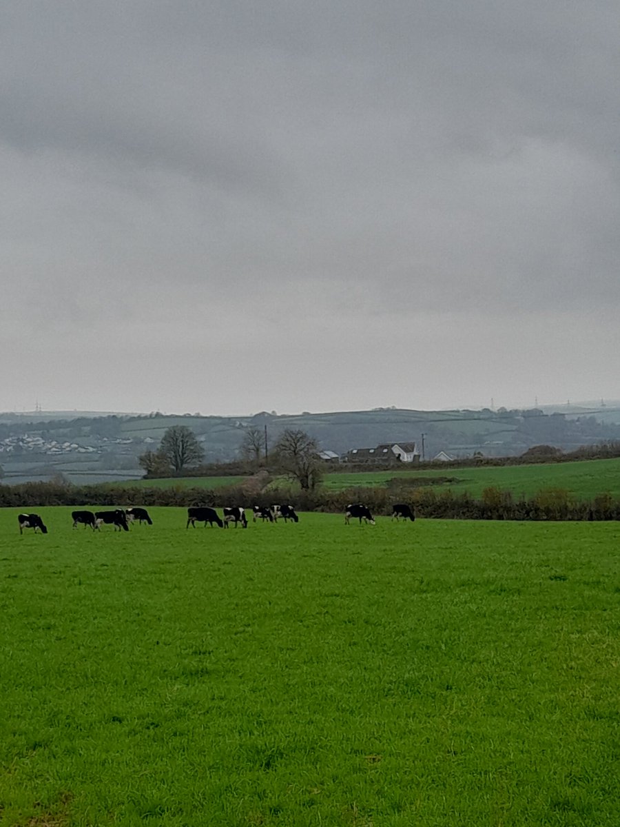 Deryc Rees tweet media