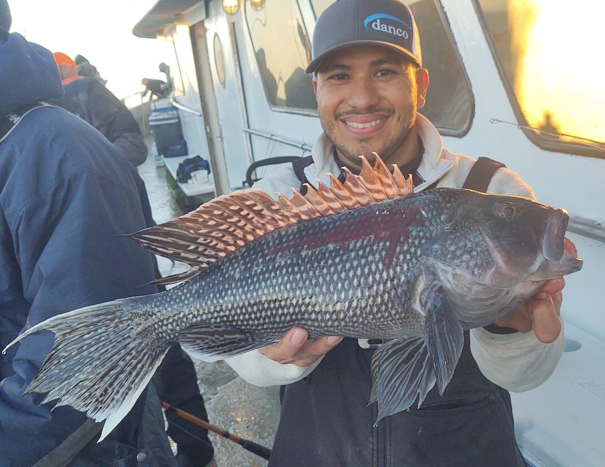 Jumbo offshore Seabass abound!! Gotta go far to get them but well worth it!
#offshorefishing #oceanfishing #seabass #blackseabass #bassfishing #wreckfishing #reeffishing #saltwaterfishing #catchoftheday #fishingpicoftheday #grouper #pargo #pesca #bigfish #fishing  #fishinglife