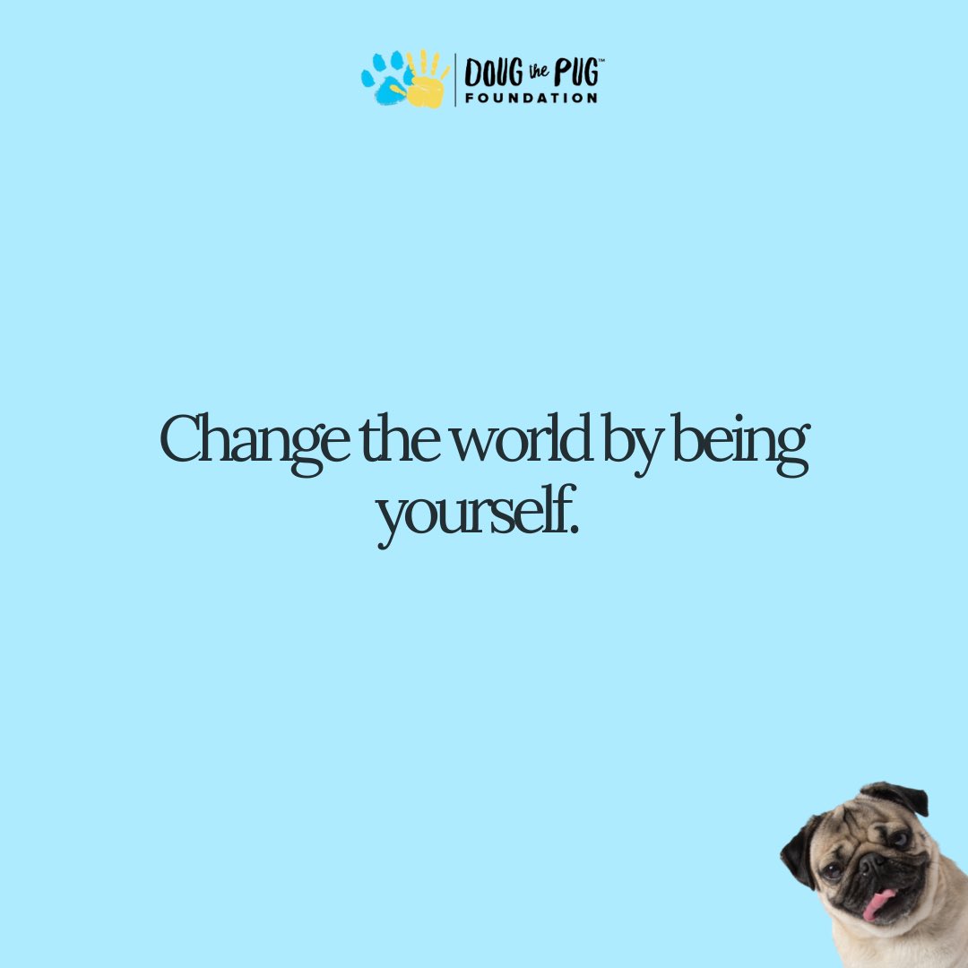 DTPfoundation's tweet photo. 🐾💛 https://t.co/2DuDMimuzO