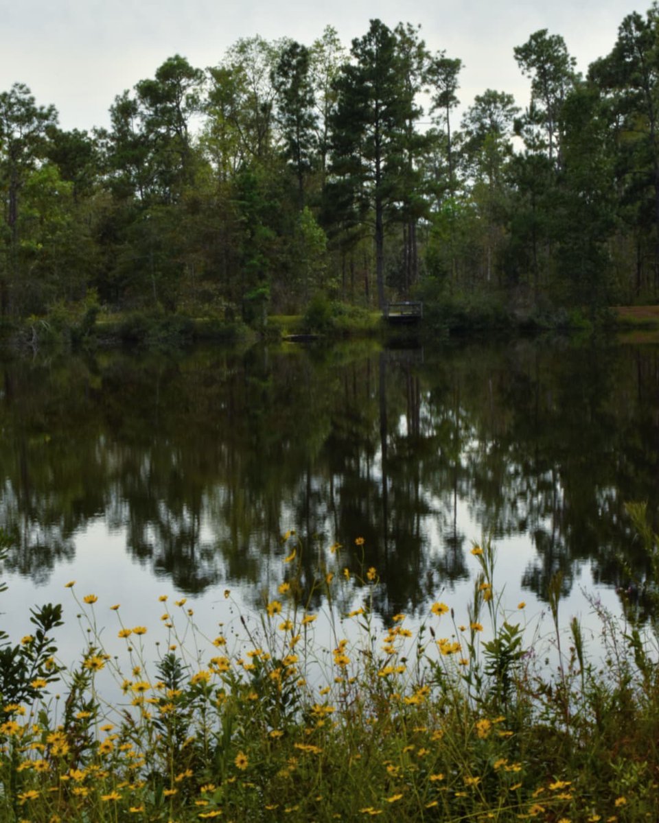 FLStateParksFdn's tweet photo. “Of all the paths you take in life, make sure a few of them are dirt.” - John Muir

IG: @empiricalottoman
At Falling Waters State Park

#FloridaStateParks #FloridaStateParksFoundation #FlStateParksFdn #ExploreFLParks #Waterfalls #Hiking #TrailRunning https://t.co/LJrcX4ab9c