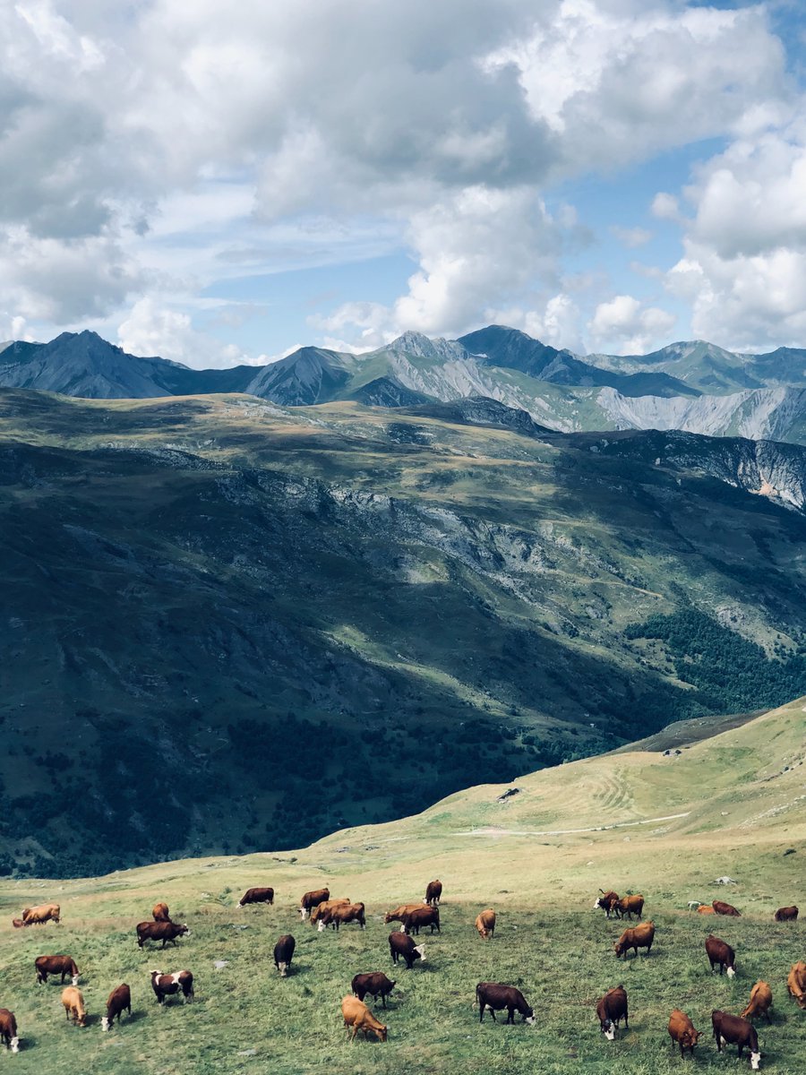 FNEasso's tweet photo. 🏆Victoire ! Le @Conseil_Etat a donné raison à nos juristes : les pesticides dans les sites @Natura2000FR c'est fini. Une décision qui va dans le bon sens de la préservation de la #biodiversité. 

Lire notre communiqué 👉  https://t.co/BEozKB9UCV https://t.co/7uoRYUFZ6X