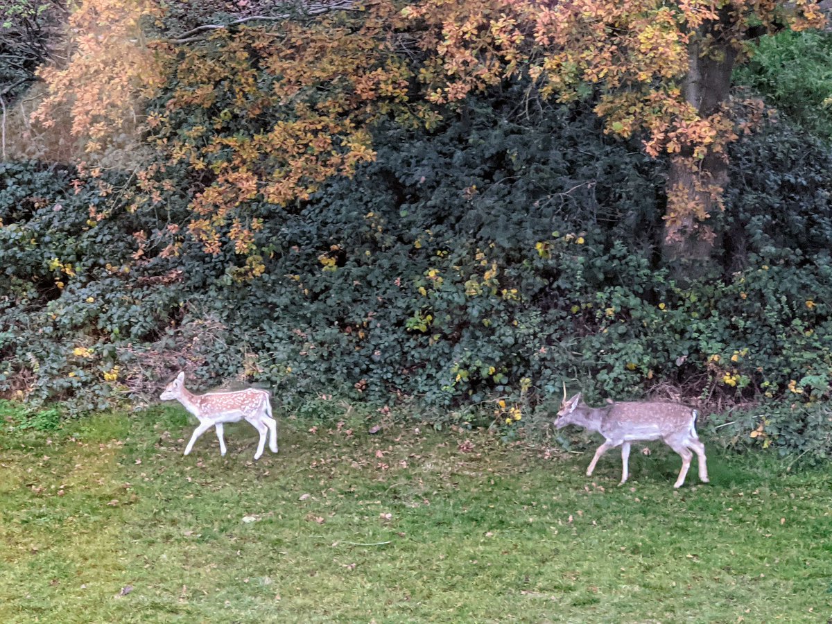 Practice room with a view. 💙