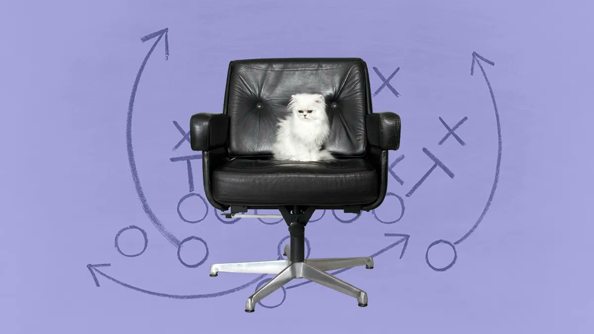 mindscaling's tweet image. &quot;You should use performance targets to set direction.&quot; Is this true or is a myth about management? Learn more here. buff.ly/3qkeQVK #management #ManagementConsulting #leadership #hrcommunity #hr