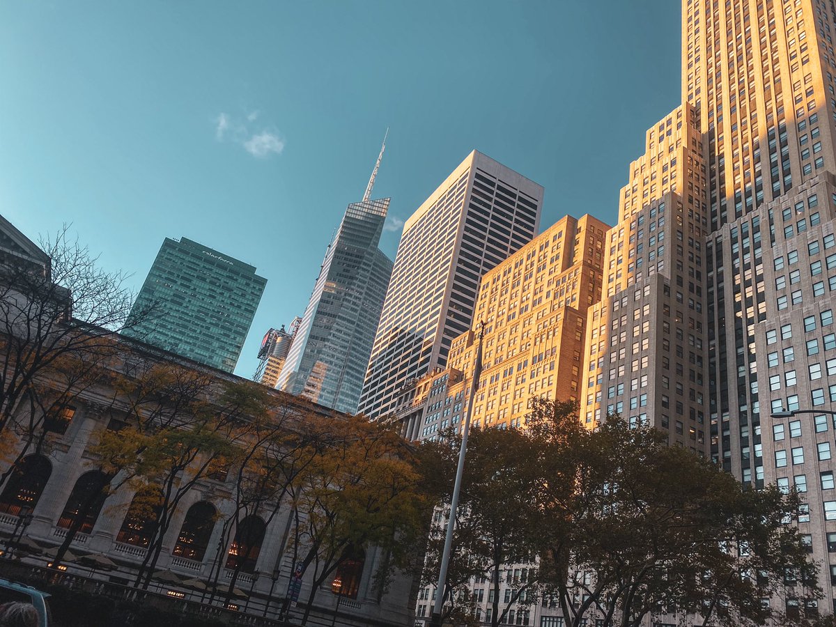 UnyStudio's tweet photo. New York public library. #NYC https://t.co/cLuXyRsfTa