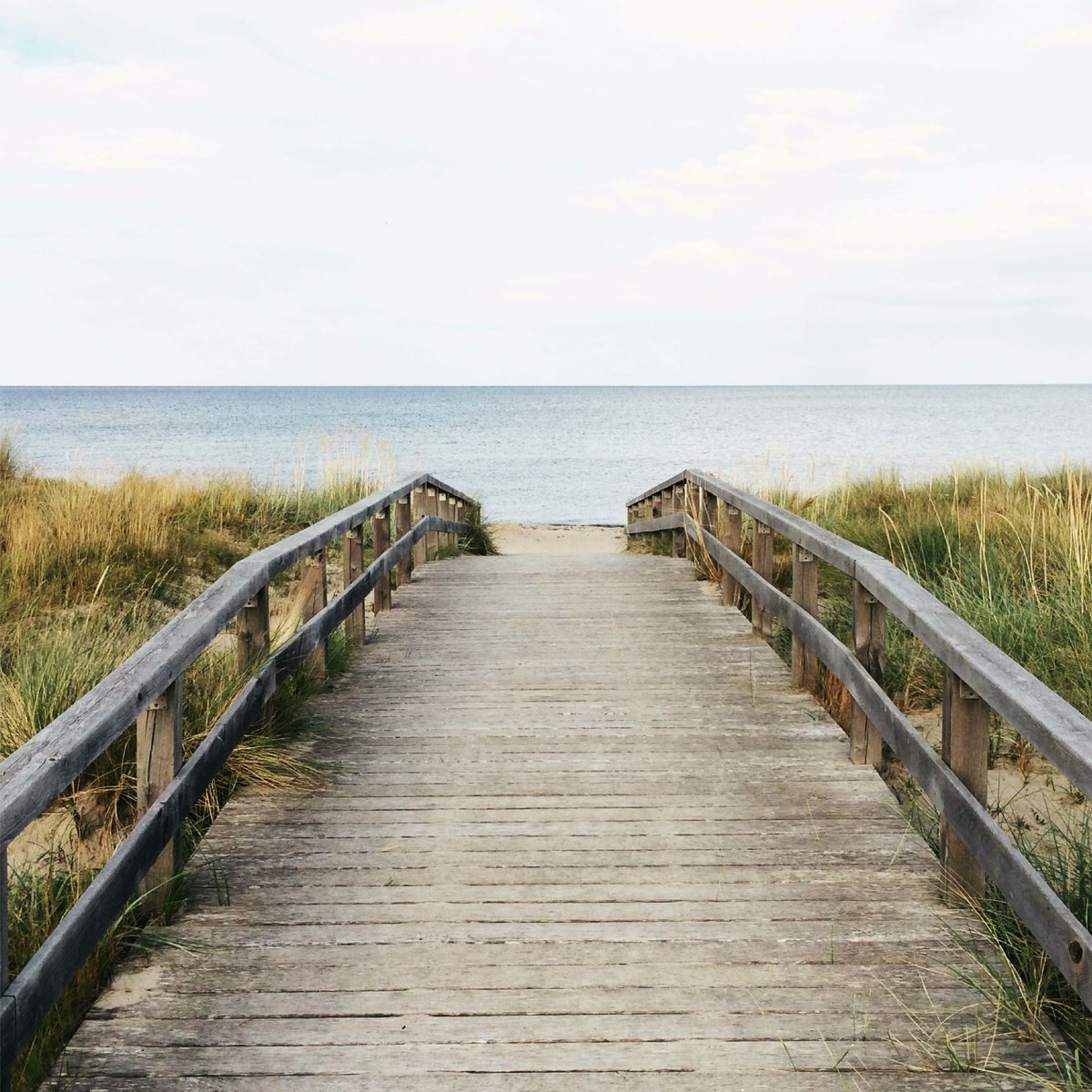 concentropn's tweet photo. Stabilimenti balneari attrezzati, parcheggi con Contrassegno Unificato Disabili Europeo, segnaletica per ipo e non vedenti. Vivere la spiaggia in totale sicurezza oggi è davvero possibile. Scopri tutte le esperienze marine di @Tourist4All:
https://t.co/vnFqAJT0W4 https://t.co/8oUpcQGsdz