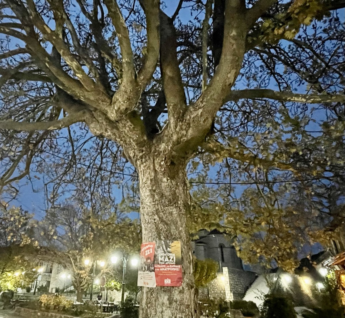 Καρυές Λακωνίας (στην κεντρική πλατεία): η αριστερά της οικολογίας...