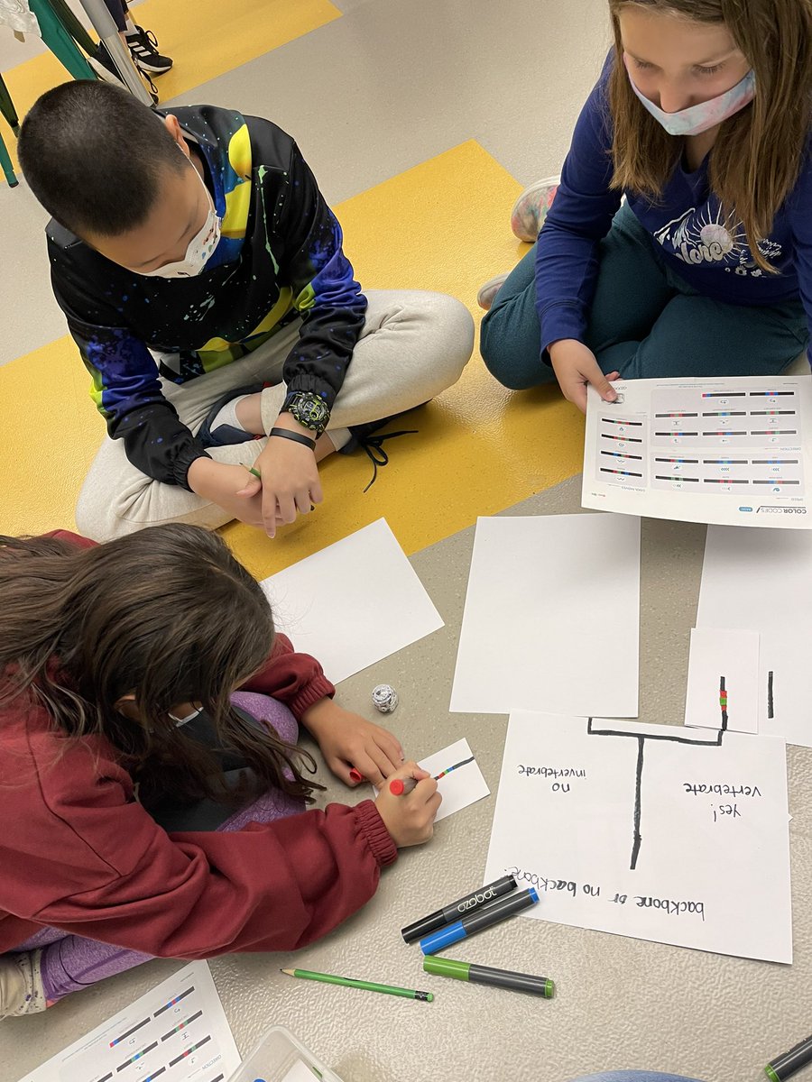 Ms_ARedd's tweet photo. Reviewing by traveling through cells with @Ozobot and vertebrates/invertebrates using coding and dichotomous keys @OldHundredES #extra #science #codingkids https://t.co/6I51j18EOm