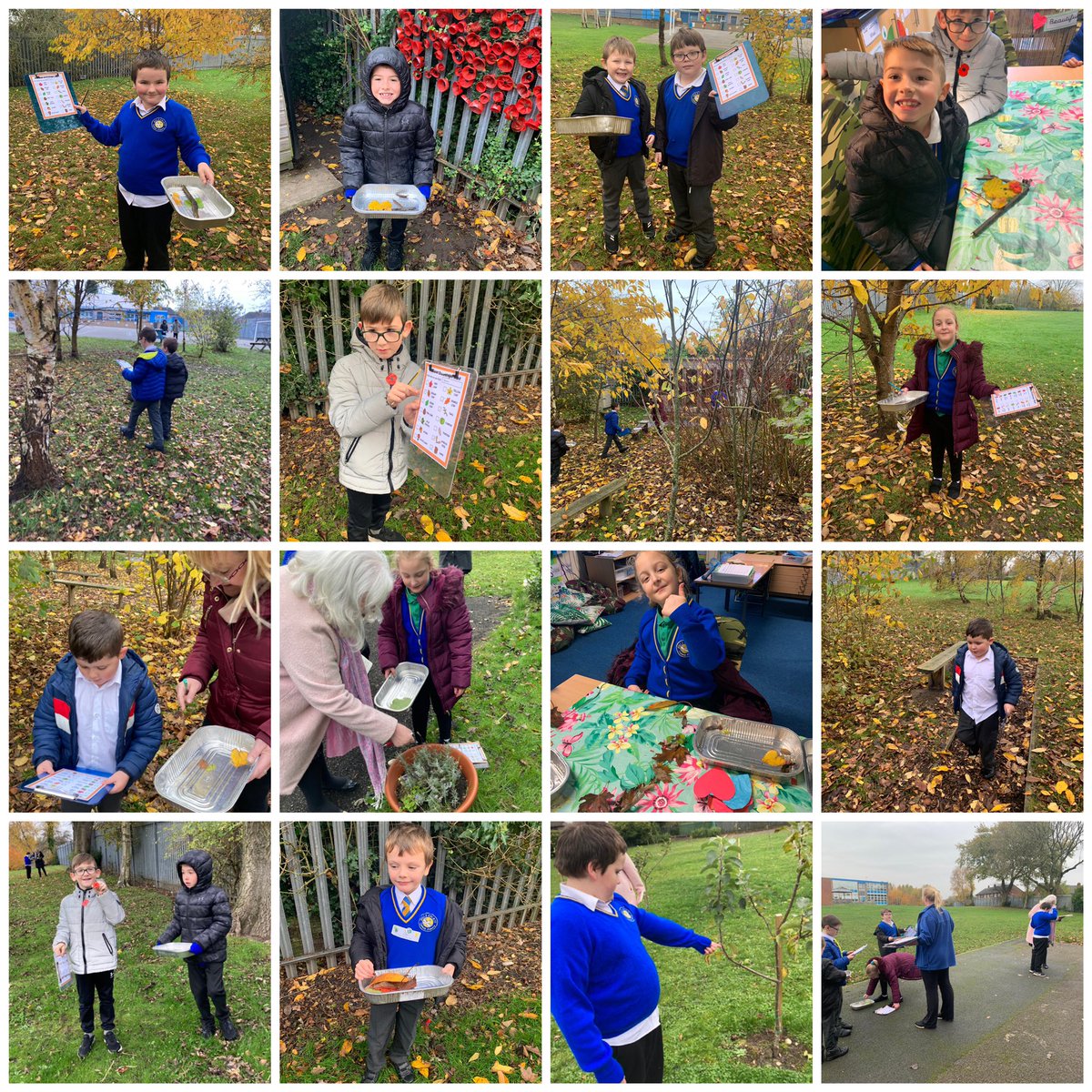 HolySpiritWA9's tweet photo. #RainforestCamp learned about #Autumn today 🍂 They looked at the world &amp; when it’s autumn for different hemispheres, what the weather’s like compared to other seasons &amp; what we see during autumn. We then went on a scavenger hunt &amp; worked in teams to find as much as we could! 🤩 https://t.co/Hlk82jQPwo