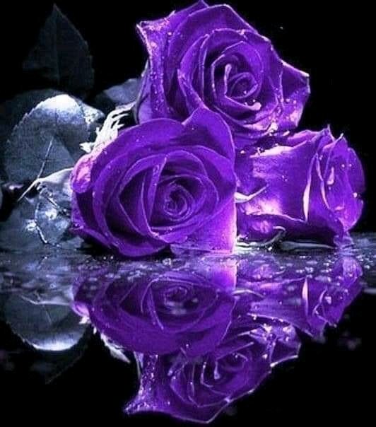 No digas :falta de tiempo, es falta de interés;
porque cuando quieres realmente, la madrugada se vuelve día, el lunes se convierte en sábado y ese momento , en una oportunidad ....