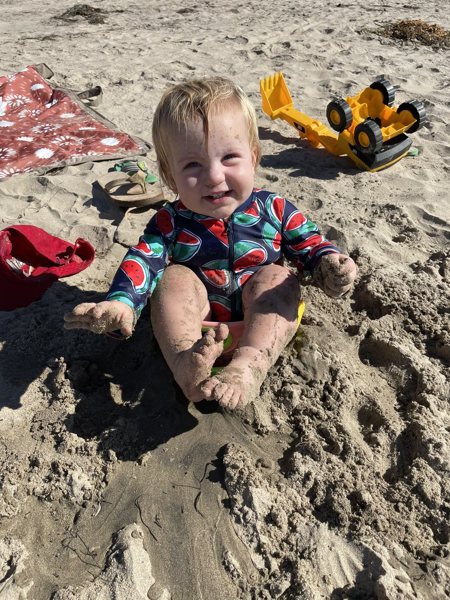 eparker116's tweet photo. @yrfatfriend A) you are SO not alone on that emotional roller coaster; B) your podcast may be the best thing bit of media I’ve discovered during These Times; c) here’s my baby in a bucket https://t.co/0pTRFccKax