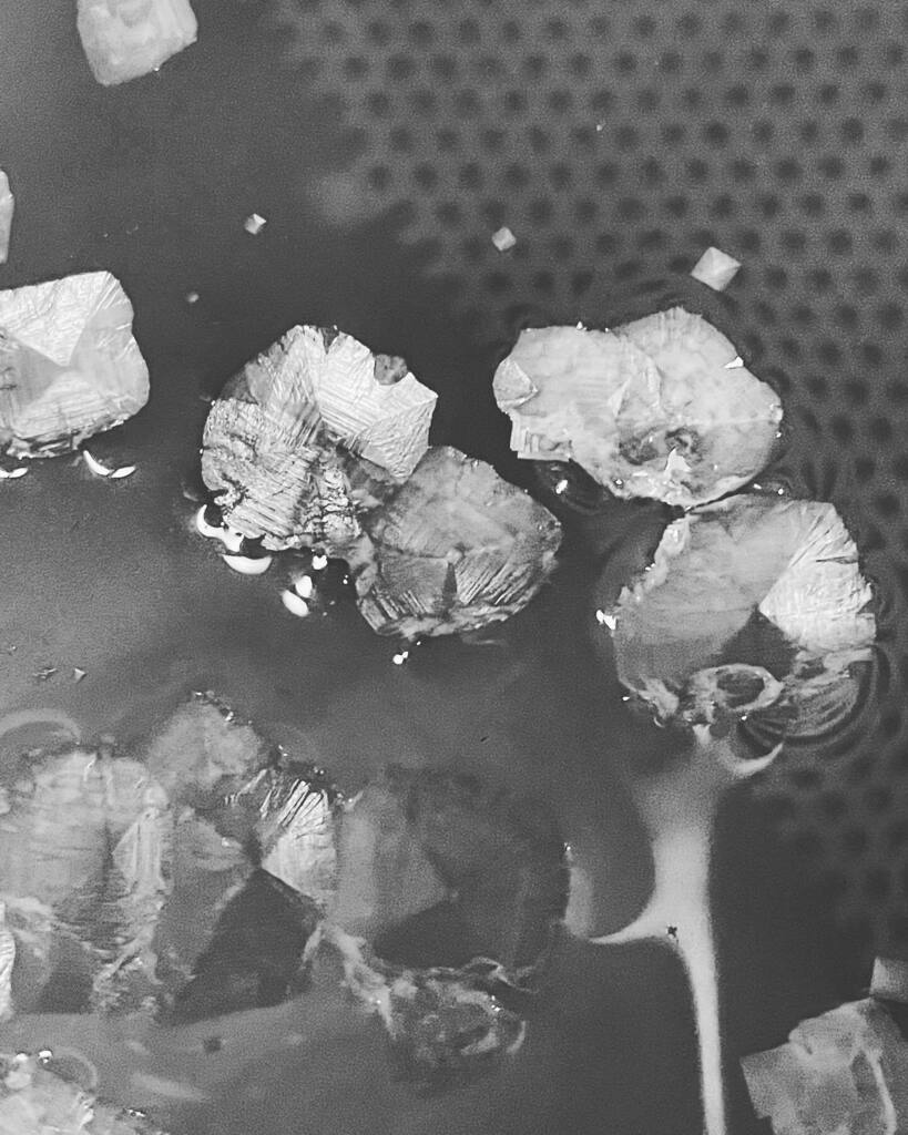 Salt flower.  #saltycuse instagr.am/p/CWTaCEjLYpq/