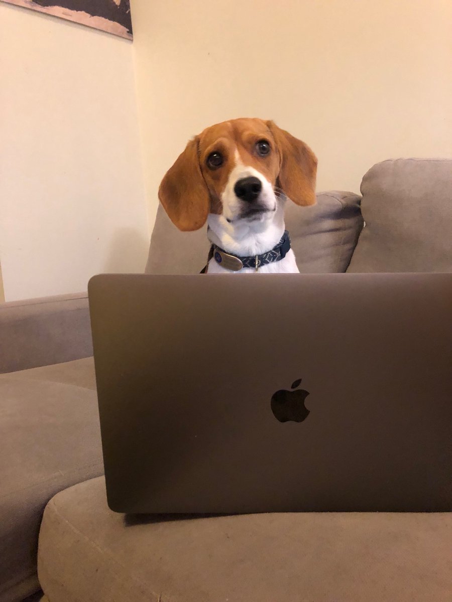 Happy Monday!

Gilbert is doing a deep dive into how to incentivize people to install solar panels. 😎☀️

#petsofRISC