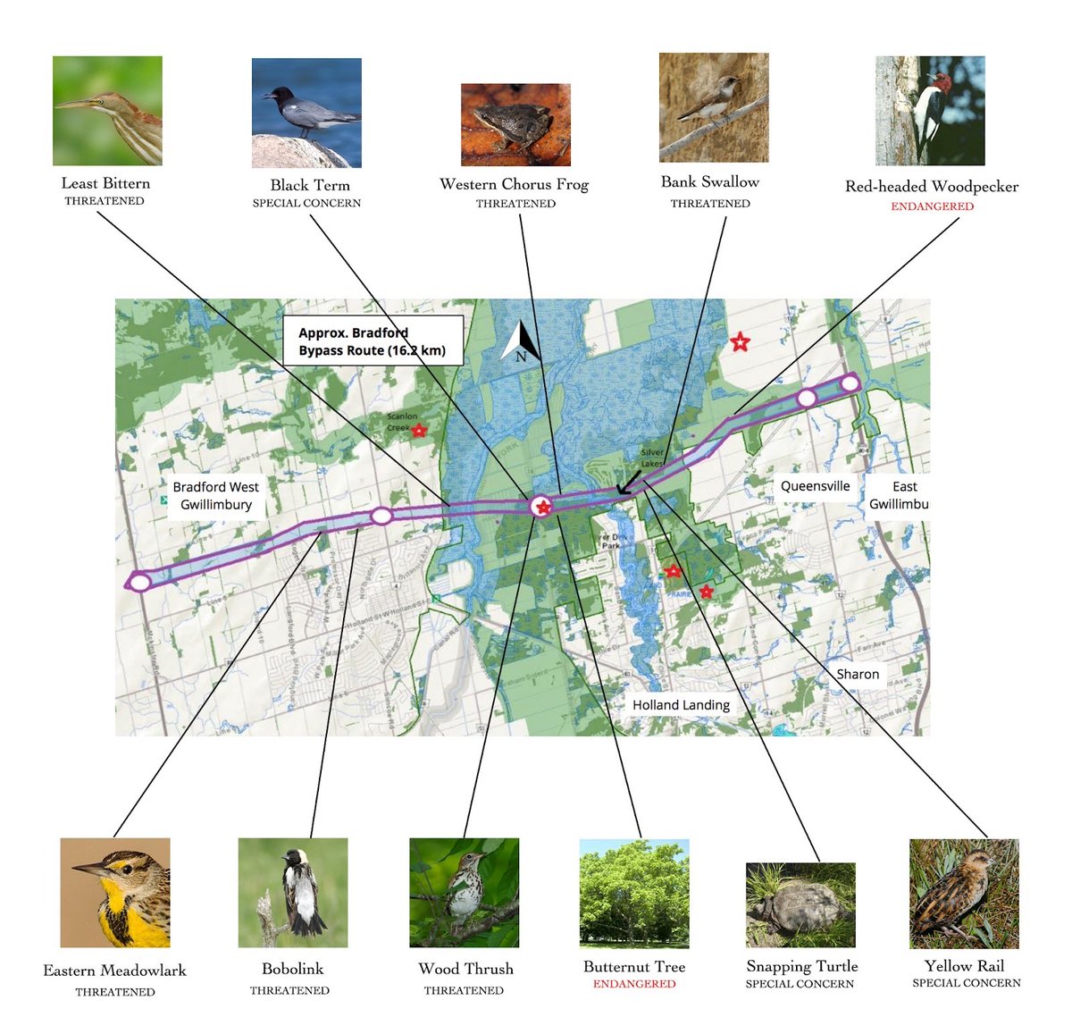 Norm Di Pasquale 🇨🇦 tweet media