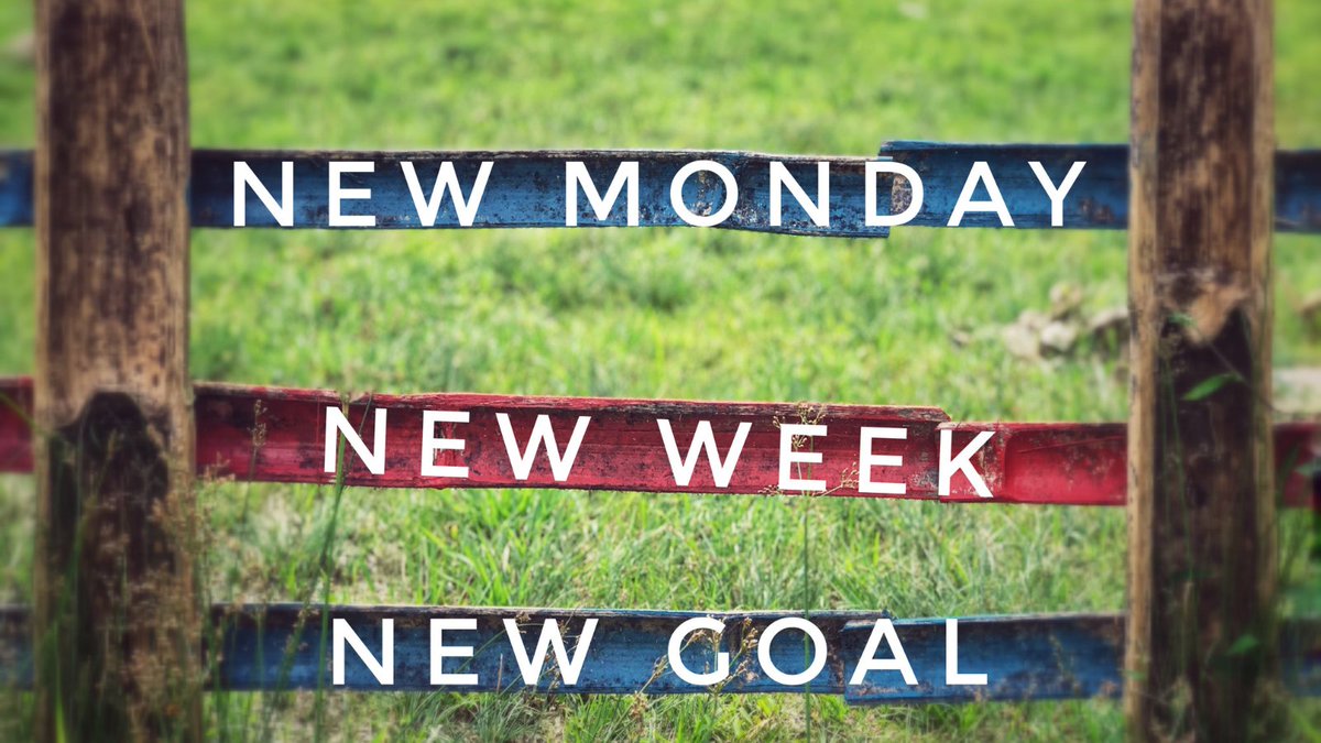 More money isn't the end goal. The ultimate goal is to live your life on your terms🔥 It's a new week. A new day means new possibilities!
.
.
.
#MondayWisdom
