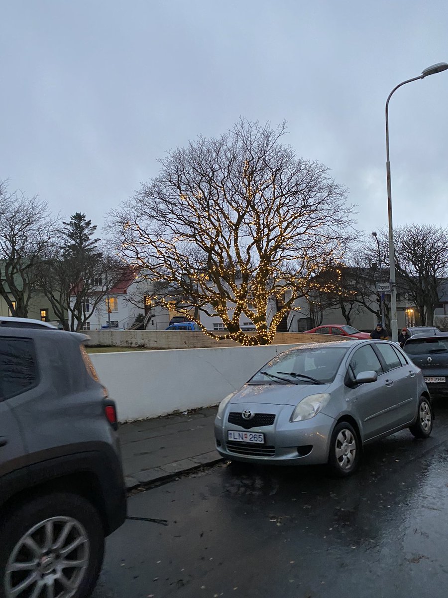 Shout out á alla þá sem gera líf okkar betra í íslenska myrkrinu betra með því að setja svona falleg ljós í garðana sína