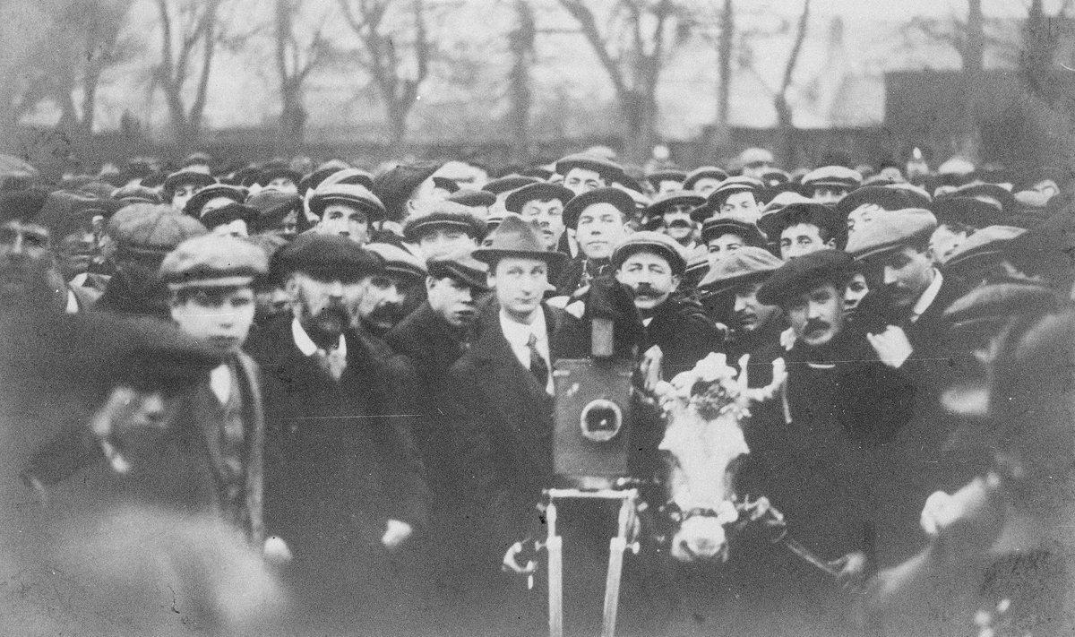 Black and white photo of a dense crowd of men in caps gathered around a 1910s camera and a cow.