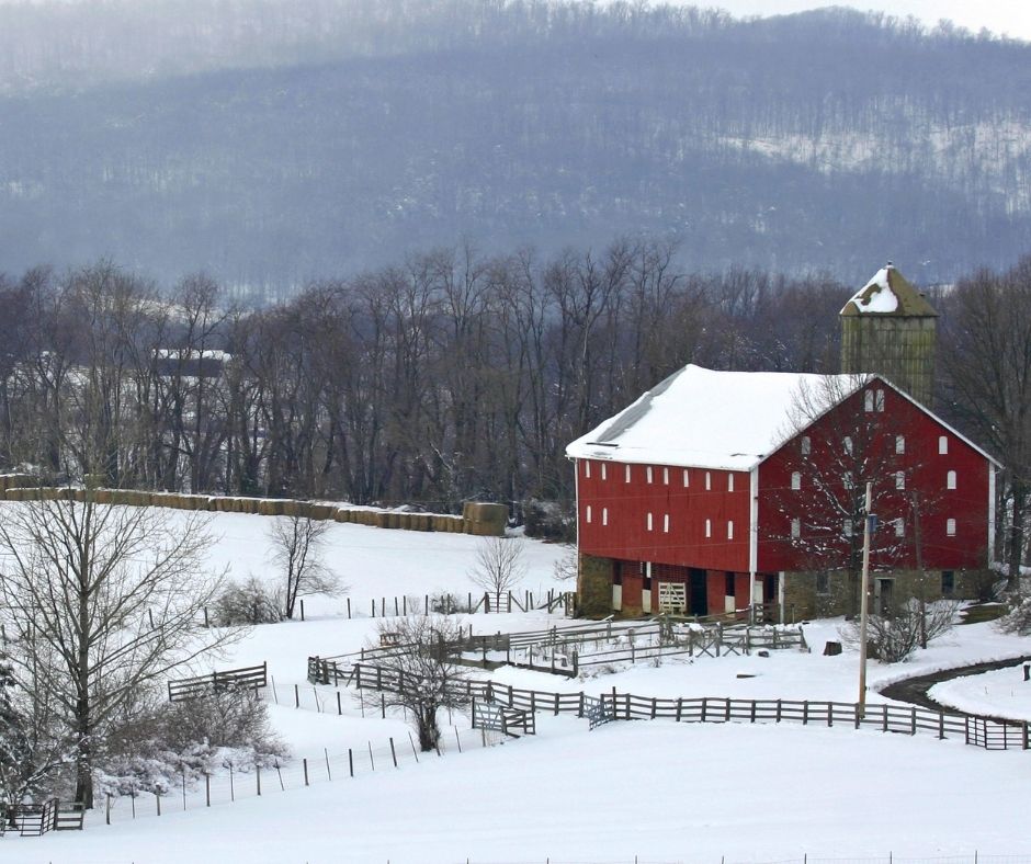 FloridaFarmFeed's tweet photo. It's time to winterize your farm. We have the supplies you need to winterize. https://t.co/3Ccxq84Tm3 https://t.co/4UGLWuQmFL
