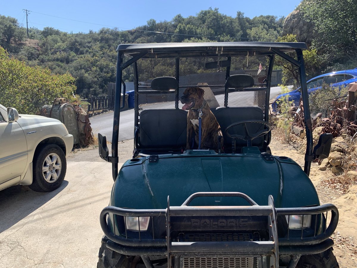 sbcrafts's tweet photo. @YoungdahlScott @PolarisORV Duke and his Ranger 6x6 https://t.co/07q5y5kmU3