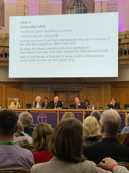 A mock #GeneralSynod debate for the benefit of newly-elected members. If the House of Bishops issue such a policy, I shall know for sure that the <a href="/churchofengland/">The Church of England</a> has a future, and that cats shall not prevail against it.🐾
