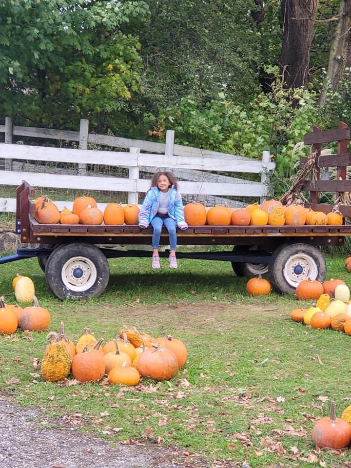 rochestercider's tweet photo. Stop by for some cider, a donut, and a little time outdoors at the Mill. 🌾
Thank you Aaron Stokes for visiting us recently & sharing your day! 🍁🍂
#RochesterCiderMill #MichiganCiderMills #CiderMill #Cider #Donuts #StrawPyramid #PumpkinPatch #Autumn #OaklandCounty #Fun #Family https://t.co/gAIiFucerR
