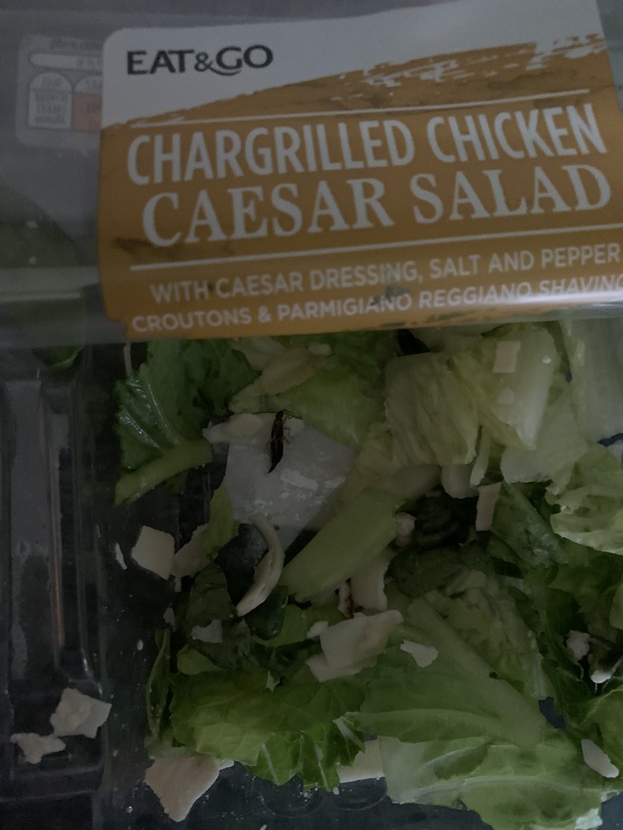 I’m all for trying new things but this is a bit much <a href="/AldiUK/">Aldi Stores UK</a>