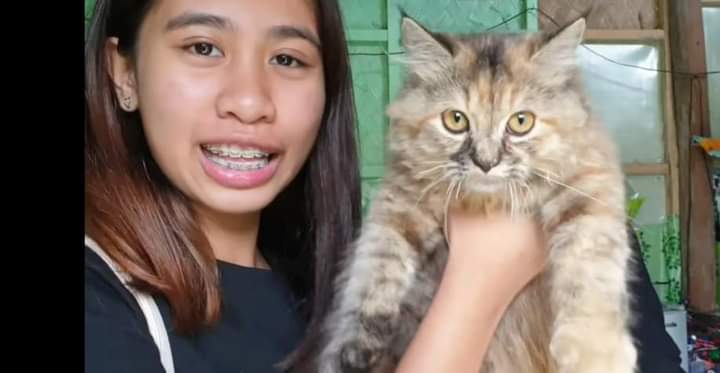 TeamKenYen's tweet photo. Gigil yan
Cute ni miming bella

#Kenyen https://t.co/yKdDowatiZ