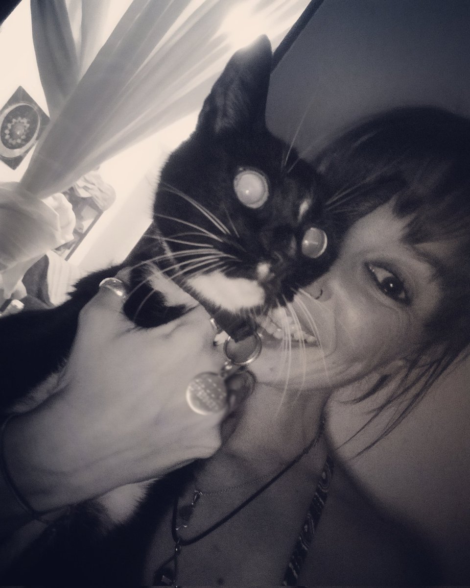 Ari 🧶✂️🧵 tweet media