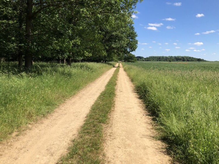 Do you know where your business is heading? And which road you want it to take?
If you don't reach your potential customers, someone else will.
Are you ready to find out which direction leaflets can take your business in? Get in touch today!

#distribution #local #directmarketing