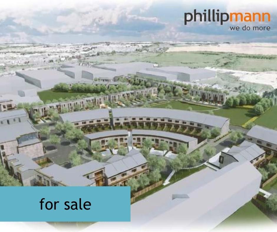 Phillip Mann tweet media