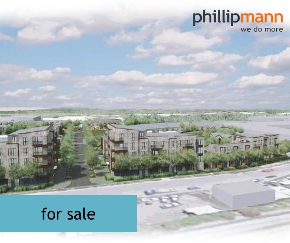 Phillip Mann tweet media